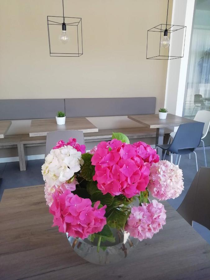 Albergo Garni Francesco Torbole Sul Garda Zewnętrze zdjęcie