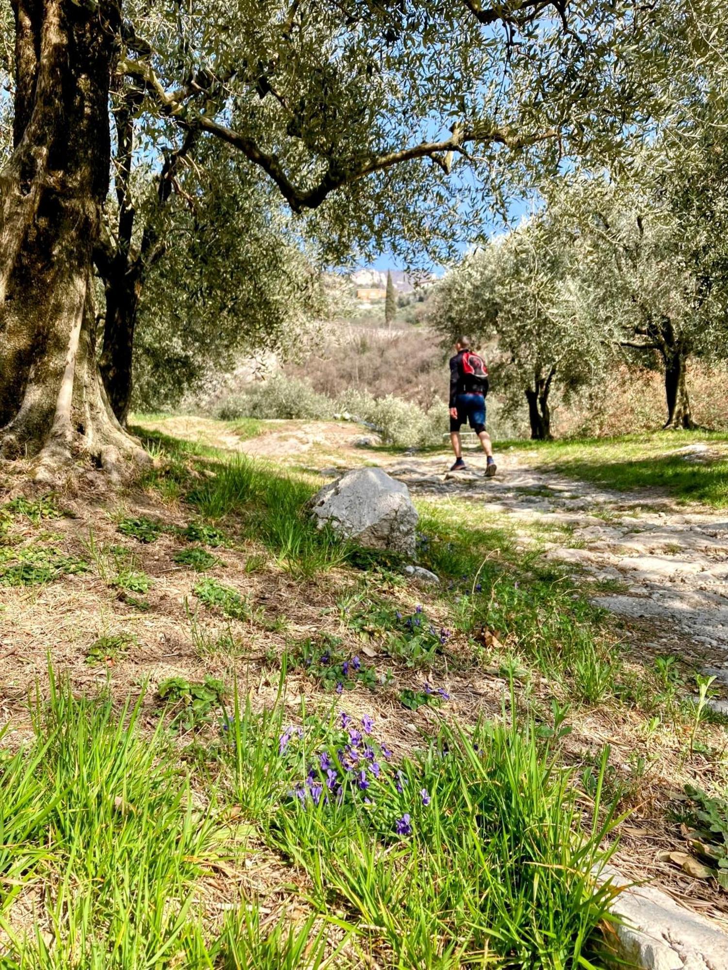 Albergo Garni Francesco Torbole Sul Garda Zewnętrze zdjęcie